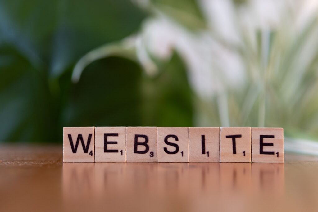 Cheap Freelance Website Designer in Delhi